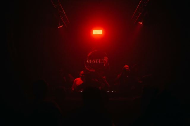 Hazy Blades, Gestalt archive, Minsk, frame 85
