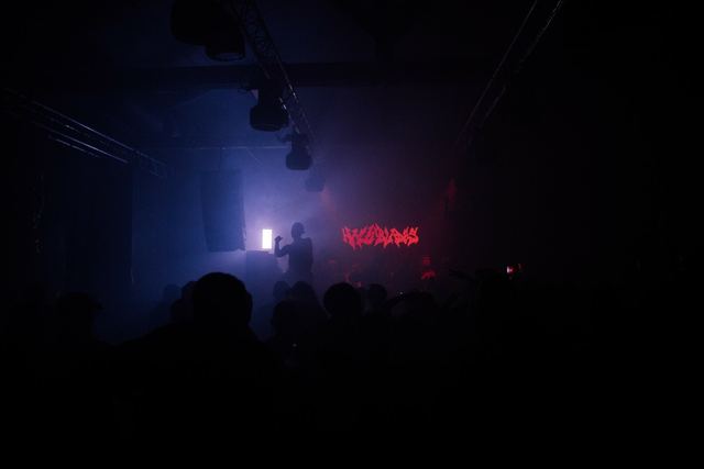 Hazy Blades, Gestalt archive, Minsk, frame 117