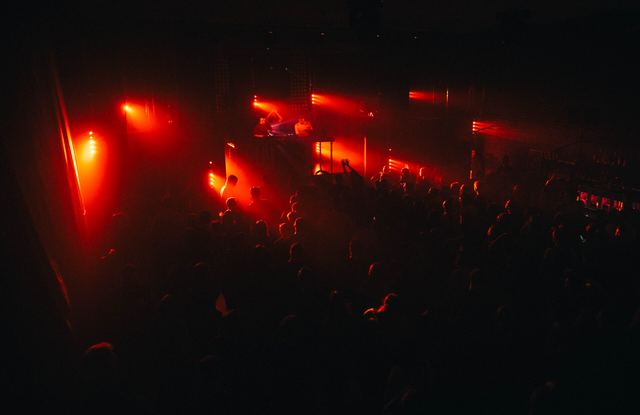 Reptiloid, Gestalt archive, Minsk, frame 25