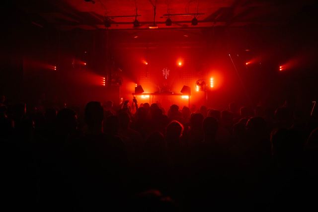Reptiloid, Gestalt archive, Minsk, frame 38