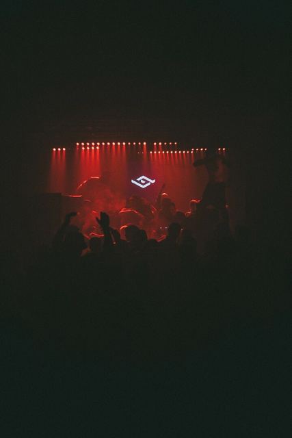 Sirdsapes, Gestalt archive, Minsk, frame 1