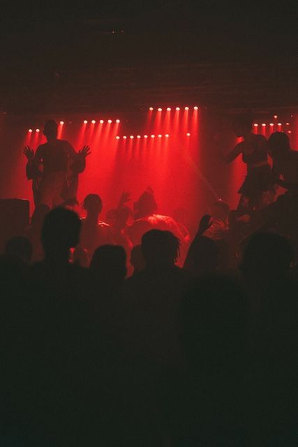 Sirdsapes, Gestalt archive, Minsk, frame 2