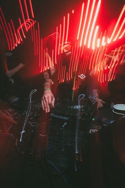Sirdsapes, Gestalt archive, Minsk, frame 4