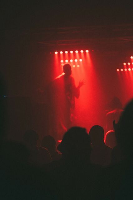 Sirdsapes, Gestalt archive, Minsk, frame 6