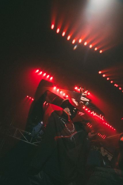 Sirdsapes, Gestalt archive, Minsk, frame 10