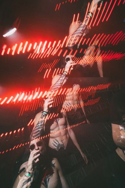 Sirdsapes, Gestalt archive, Minsk, frame 12