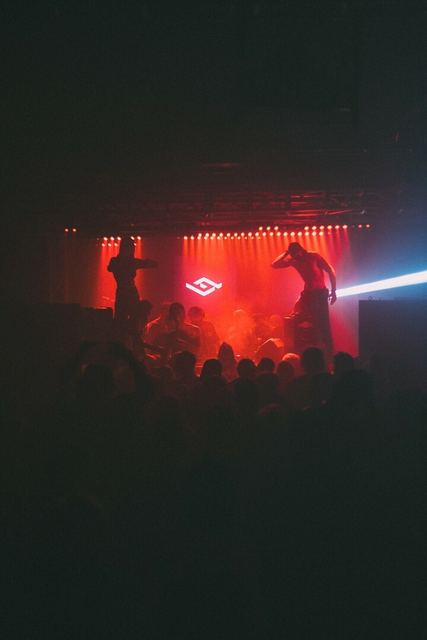 Sirdsapes, Gestalt archive, Minsk, frame 15