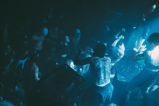 Sirdsapes, Gestalt archive, Minsk, frame 18