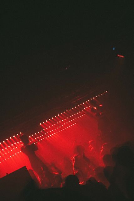 Sirdsapes, Gestalt archive, Minsk, frame 19