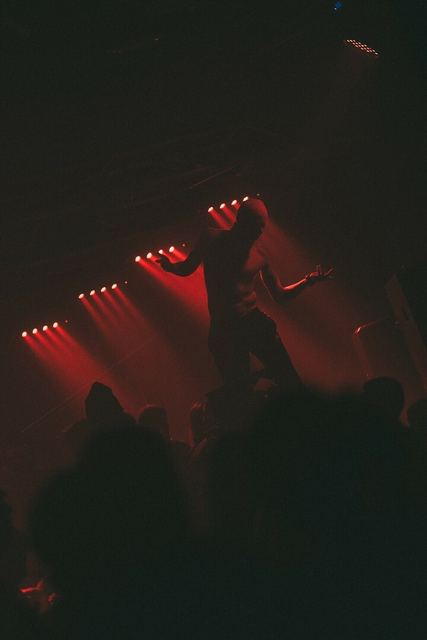Sirdsapes, Gestalt archive, Minsk, frame 20