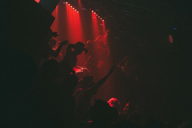 Sirdsapes, Gestalt archive, Minsk, frame 29