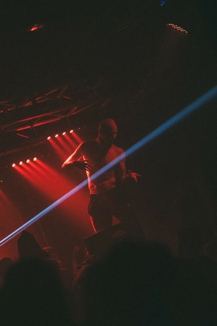 Sirdsapes, Gestalt archive, Minsk, frame 30