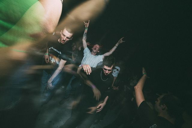 Sirdsapes, Gestalt archive, Minsk, frame 45