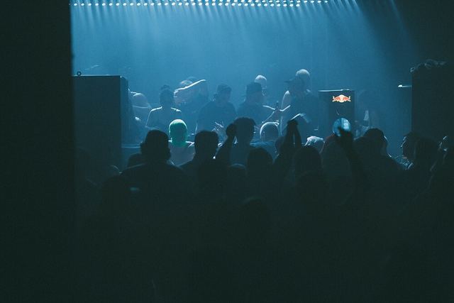 Sirdsapes, Gestalt archive, Minsk, frame 74