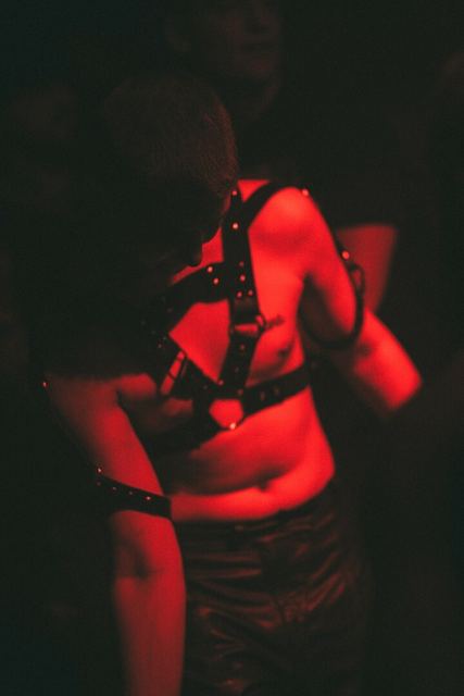 Sirdsapes, Gestalt archive, Minsk, frame 82