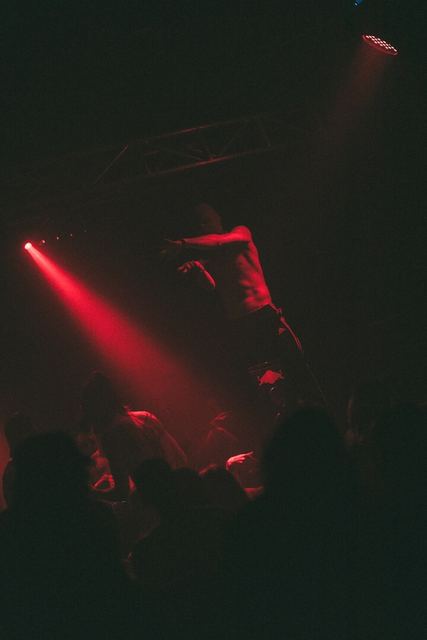 Sirdsapes, Gestalt archive, Minsk, frame 94