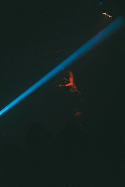 Sirdsapes, Gestalt archive, Minsk, frame 95