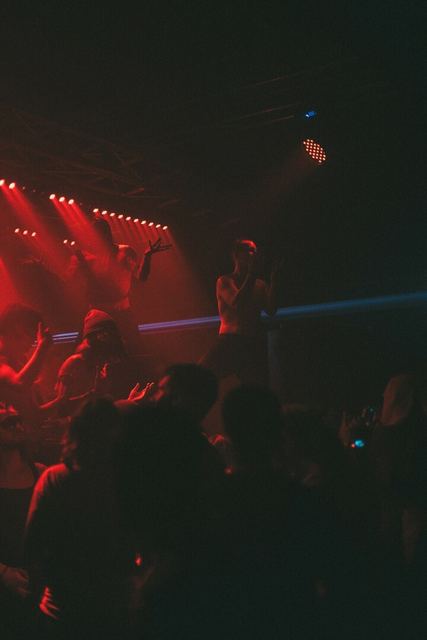 Sirdsapes, Gestalt archive, Minsk, frame 99