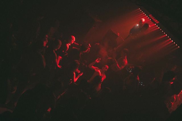 Sirdsapes, Gestalt archive, Minsk, frame 115