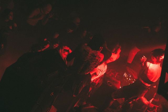 Sirdsapes, Gestalt archive, Minsk, frame 117